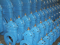 Globe Valve