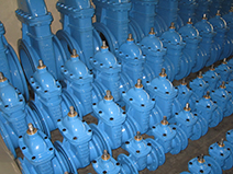 Gate Valve