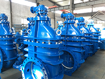 Butterfly Valve