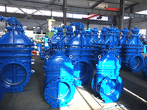 Globe Valve