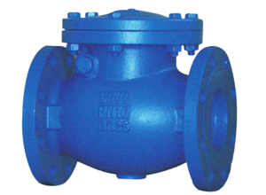 Check Valve