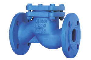 Flanged Lift Check Valve (PN16 DN15 - DN300)