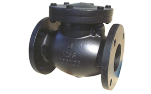 Flanged Swing Check Valve (Class 125 2" - 24")