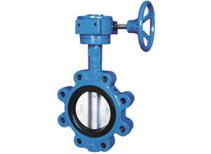 Lug Type Butterfly Valve (PN10/16, Class125/150 DN40 - DN600)