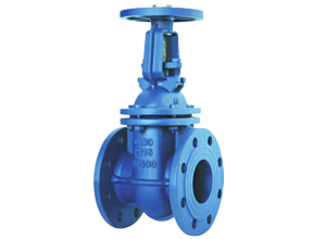 Metal Seated Gate Valve - Rising Stem (PN10/16 DN40 - DN300)