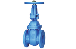 Metal Seated Gate Valve - Rising Stem (PN16 DN50 - DN600)