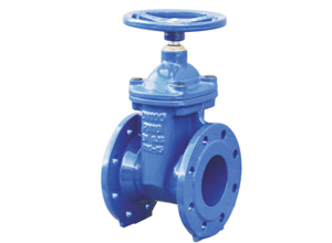 Resilient Seated Gate Valve (PN10/16 DN40 - DN400)
