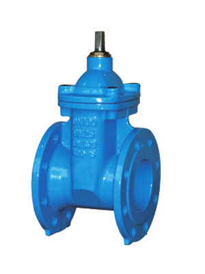 Resilient Seated Gate Valve (PN25 DN40 - DN300)