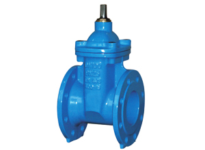 Resilient Seated Gate Valve (PN25 DN40 - DN300)