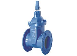 Resilient Seated Gate Valve (PN10/16 DN50 - DN600)