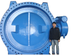 Flanged Double Eccentric Butterfly Valve (PN10/16/25 DN150 - DN2000)