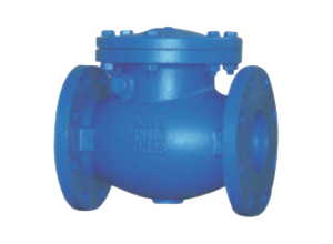 Flanged Swing Check Valve (PN16 DN40 - DN600)