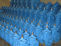 Butterfly Valve